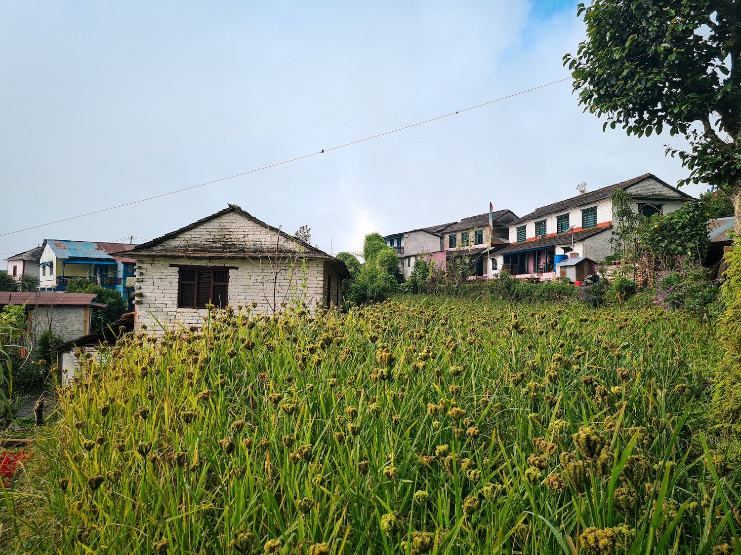 Sirubari Photo by Nirakar Sigdel