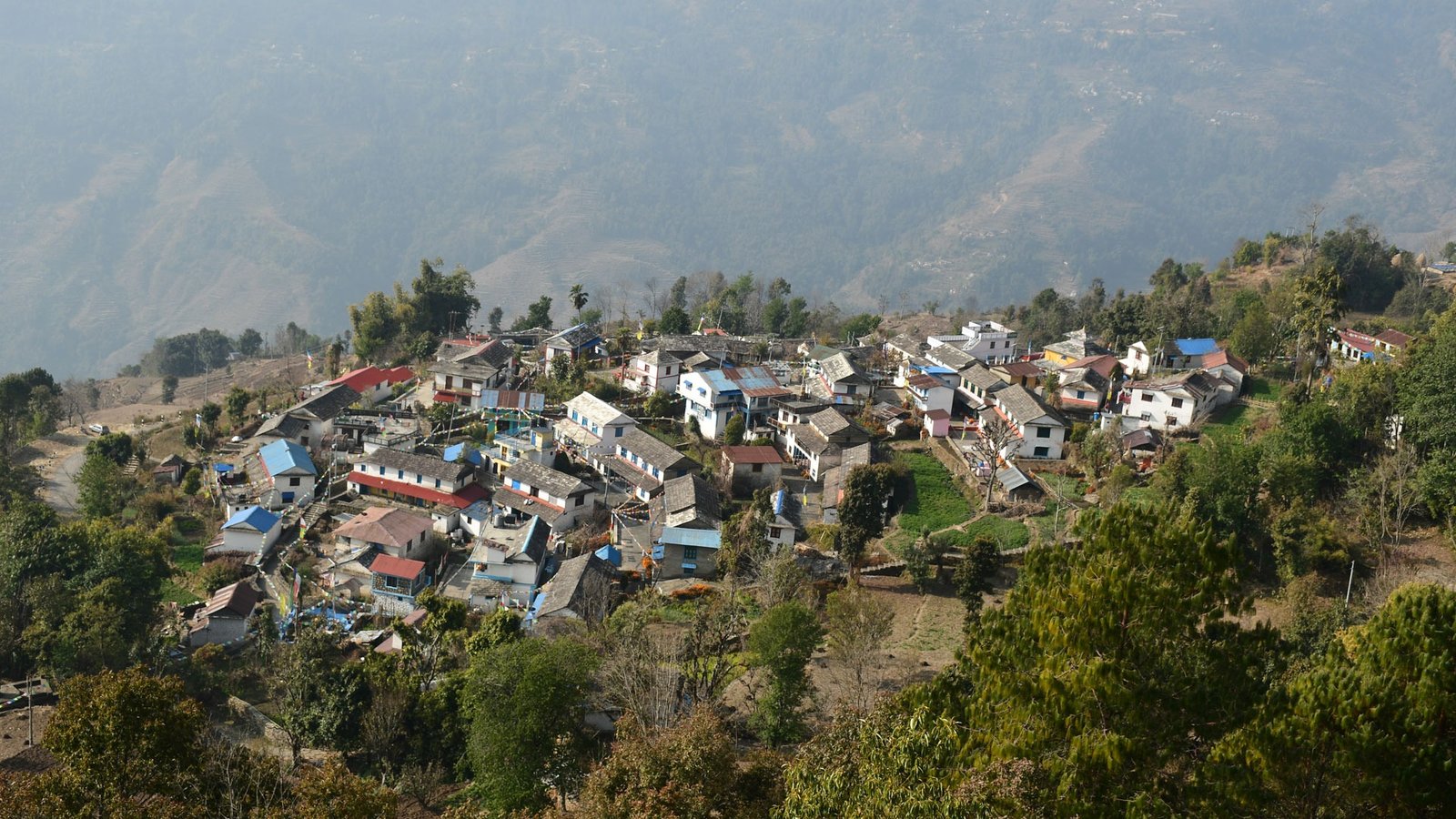 Sirubari